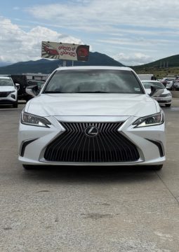 
										2019 Lexus ES, 350 full									