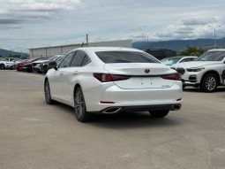 
										2019 Lexus ES, 350 full									