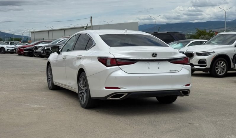 
								2019 Lexus ES, 350 full									
