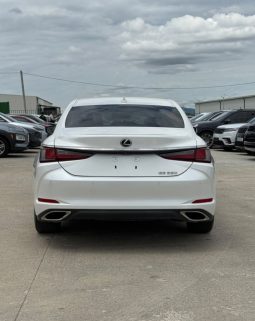 
										2019 Lexus ES, 350 full									