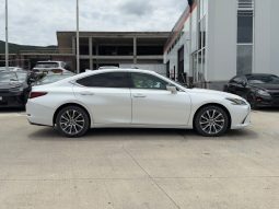 
										2019 Lexus ES, 350 full									