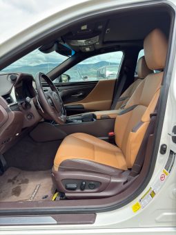 
										2019 Lexus ES, 350 full									