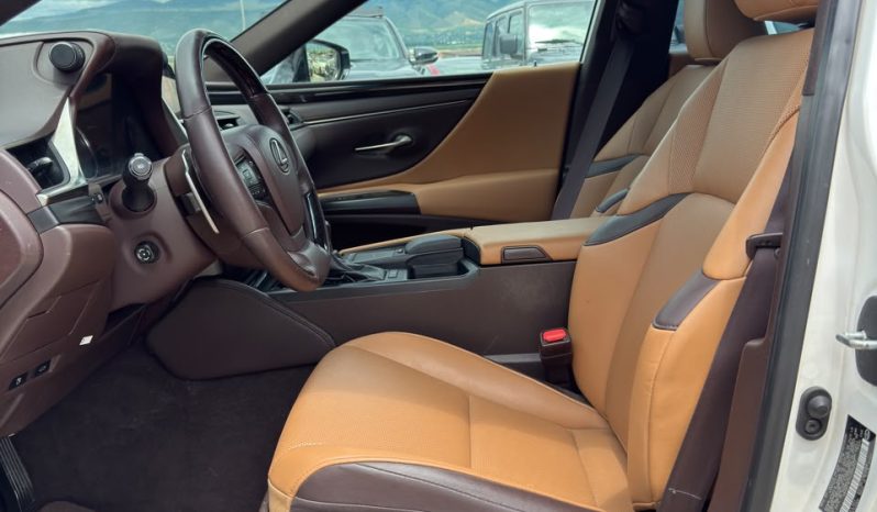 
								2019 Lexus ES, 350 full									