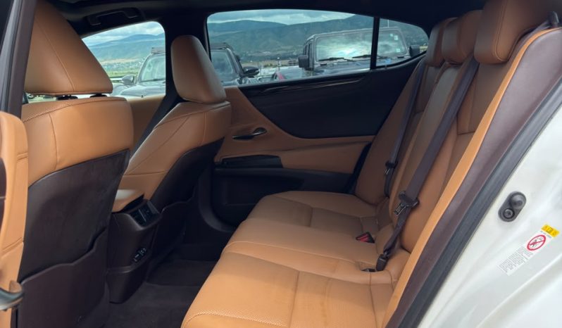 
								2019 Lexus ES, 350 full									