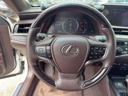 
										2019 Lexus ES, 350 full									
