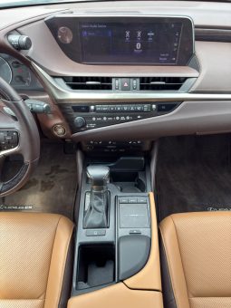 
										2019 Lexus ES, 350 full									