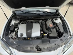 
										2019 Lexus ES, 350 full									