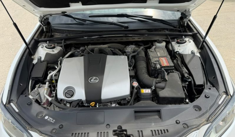 
								2019 Lexus ES, 350 full									