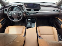 
										2019 Lexus ES, 350 full									