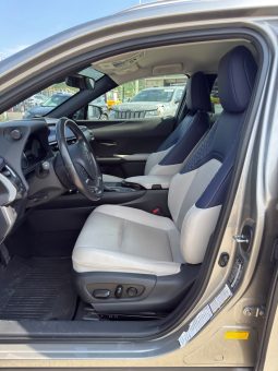 
										2020 Lexus UX 250H full									