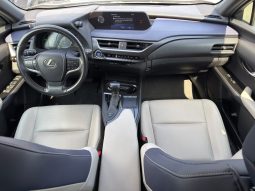 
										2020 Lexus UX 250H full									