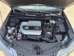 
										2020 Lexus UX 250H full									