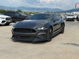 
										FORD MUSTANG full									
