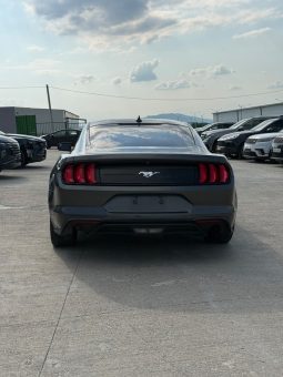 
										FORD MUSTANG full									