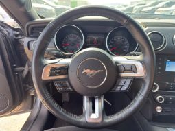 
										FORD MUSTANG full									