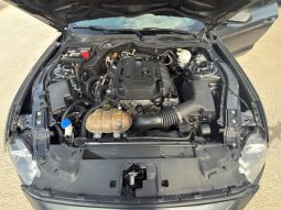 
										FORD MUSTANG full									