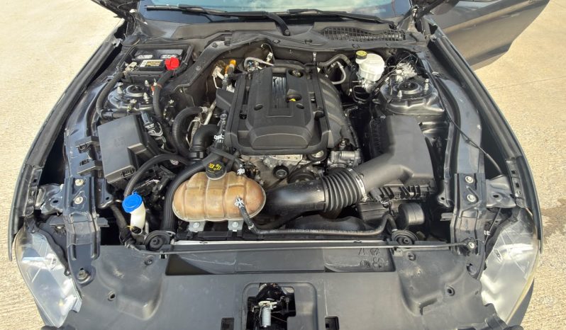 
								FORD MUSTANG full									