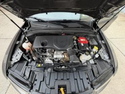 
										2024 Dodge Hornet, R/T full									