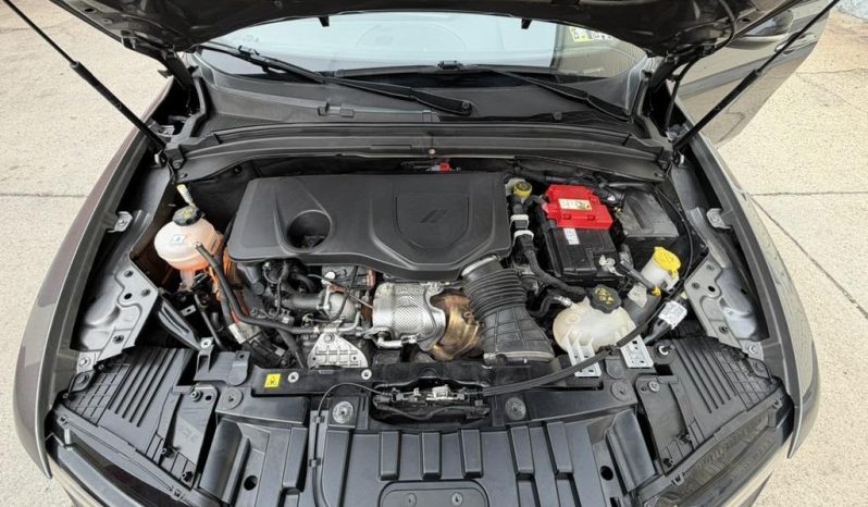 
								2024 Dodge Hornet, R/T full									