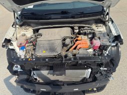 
										KIA Niro full									