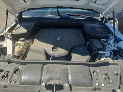 
										MERCEDES-BENZ GLS 450 full									