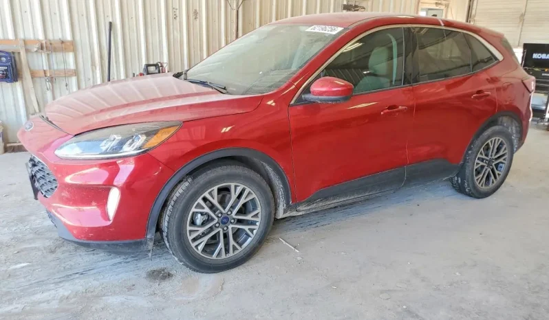 
								Ford Escape full									