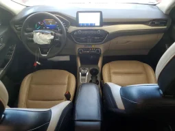 
										Ford Escape full									