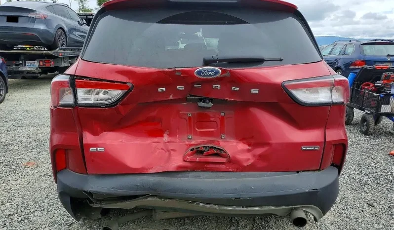 
								Ford Escape full									