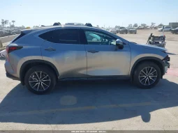 
										Lexus NX 350H full									