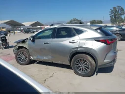 
										Lexus NX 350H full									