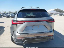 
										Lexus NX 350H full									