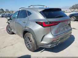 
										Lexus NX 350H full									