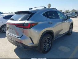 
										Lexus NX 350H full									