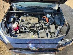 
										Toyota RAV4 full									