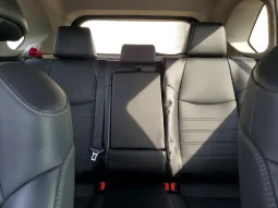 
										Toyota RAV4 Hybrid full									