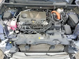 
										Toyota RAV4 full									