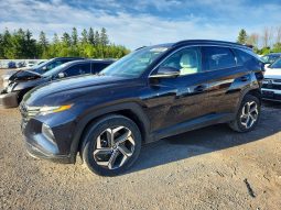 
										HYUNDAI TUCSON LUXURY HYBRID full									