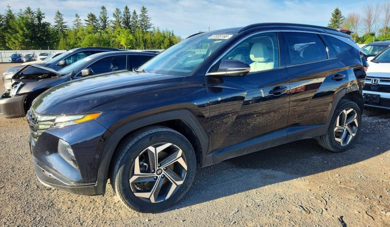 
								HYUNDAI TUCSON LUXURY HYBRID full									
