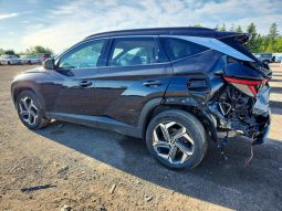
										HYUNDAI TUCSON LUXURY HYBRID full									