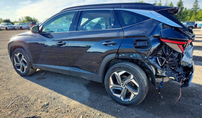 
								HYUNDAI TUCSON LUXURY HYBRID full									