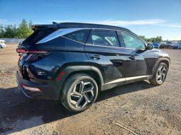 
										HYUNDAI TUCSON LUXURY HYBRID full									