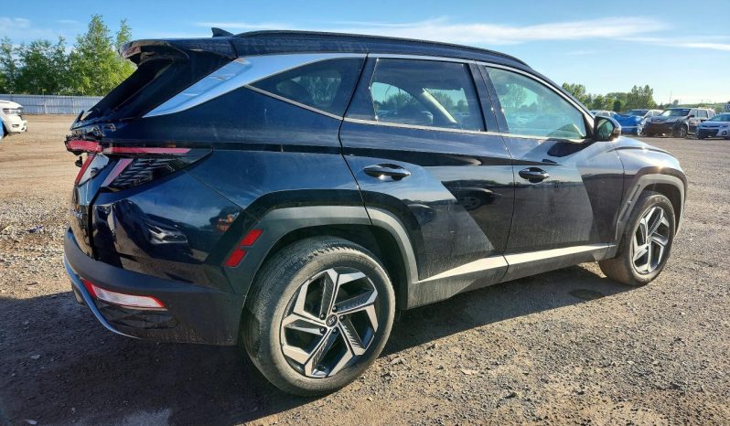 
								HYUNDAI TUCSON LUXURY HYBRID full									
