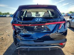 
										HYUNDAI TUCSON LUXURY HYBRID full									