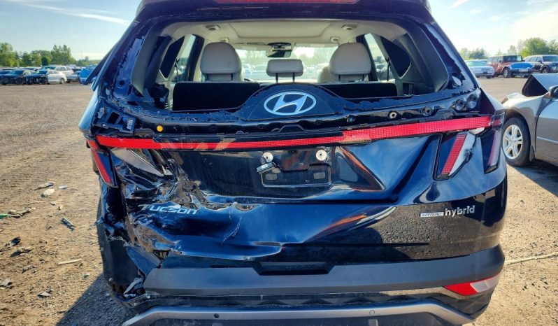 
								HYUNDAI TUCSON LUXURY HYBRID full									