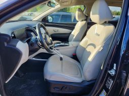 
										HYUNDAI TUCSON LUXURY HYBRID full									