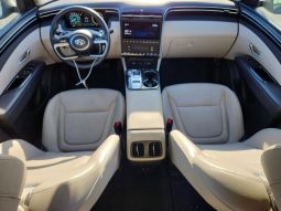 
										HYUNDAI TUCSON LUXURY HYBRID full									