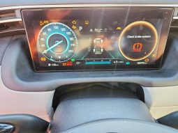 
										HYUNDAI TUCSON LUXURY HYBRID full									