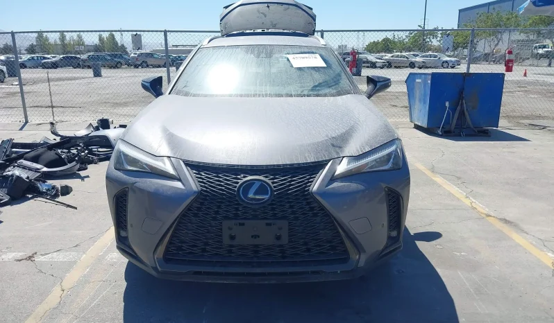 
								Lexus UX 250H full									