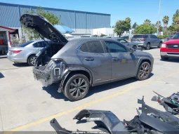 
										Lexus UX 250H full									