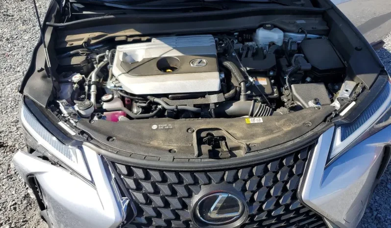 
								Lexus UX full									